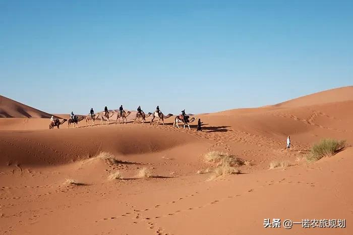 数字经济浪潮下的文旅新发展