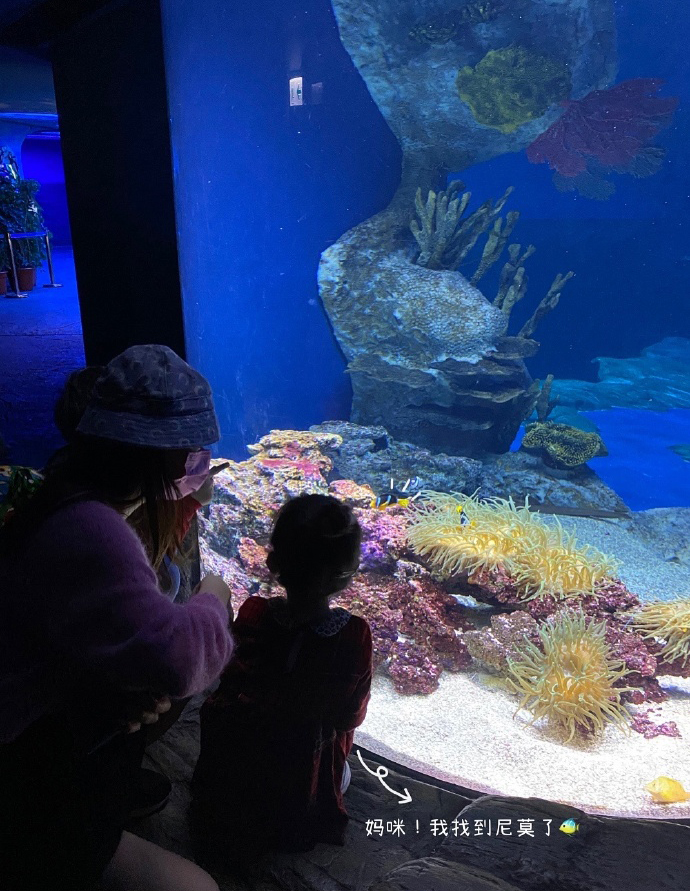 方媛曬一家四口出遊照，畫面歡樂又有愛，倆女兒穿姐妹裝超可愛