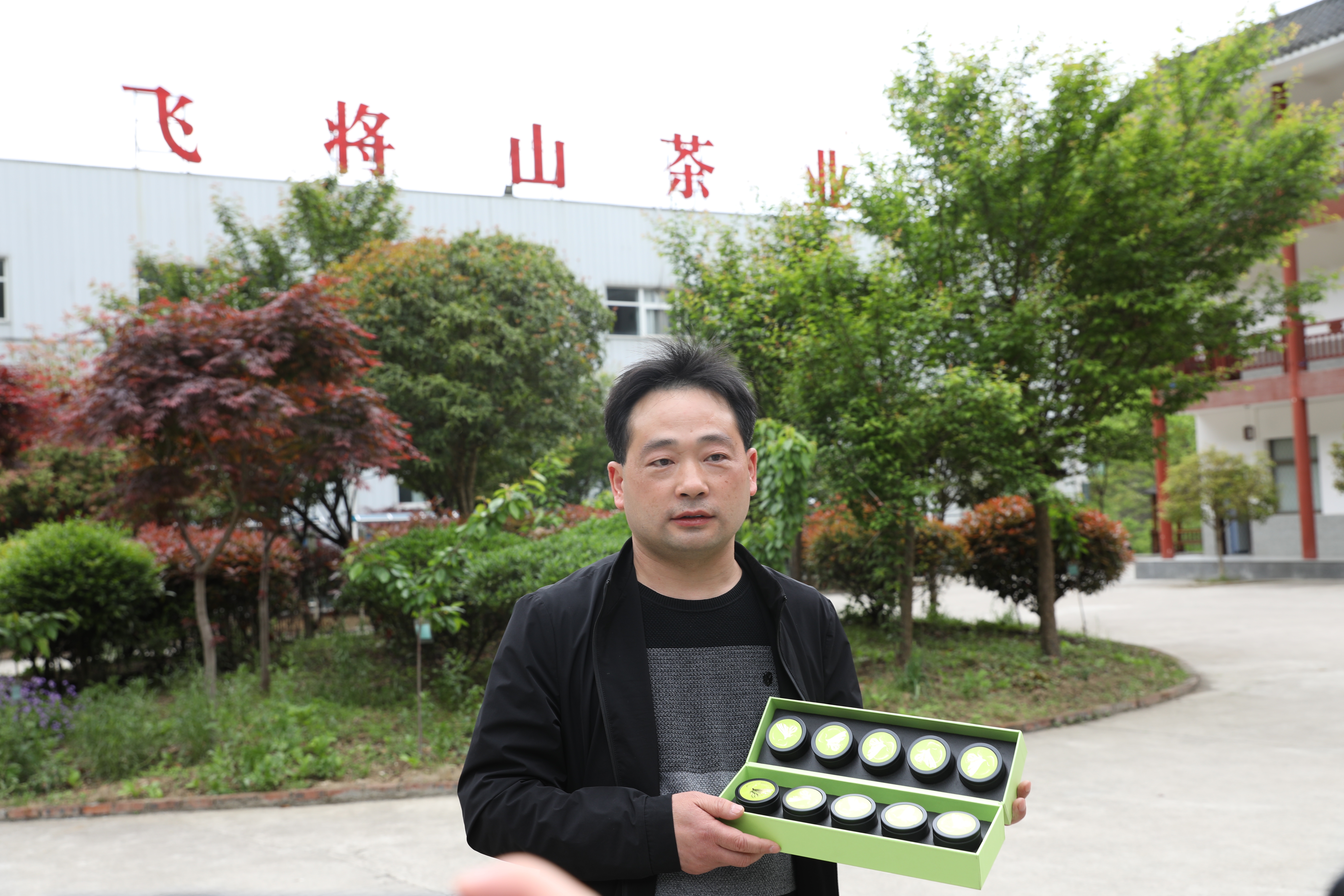 生态镇巴，名茶之乡，在镇巴最美茶园采茶、品茗、观云海