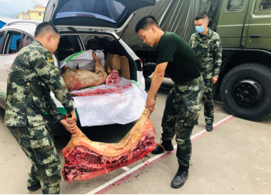 感动!家养三头生猪送救灾一线