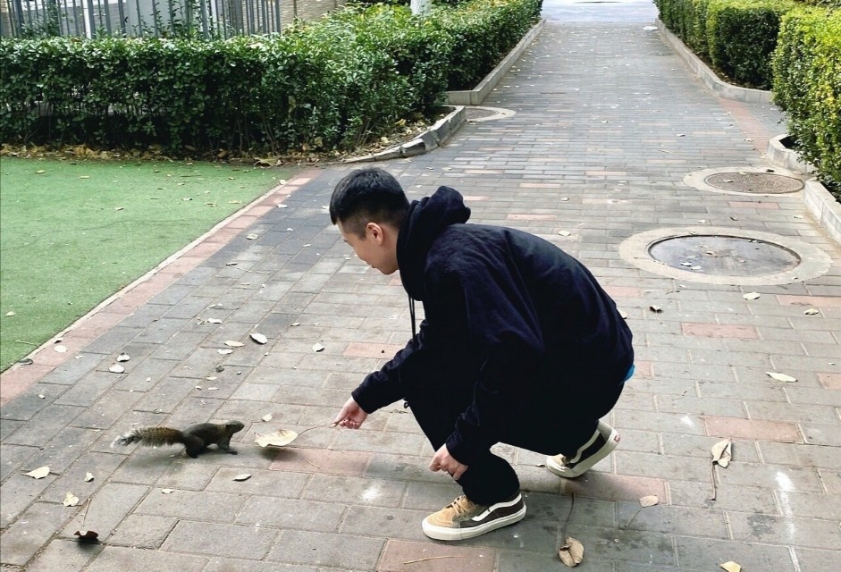 杨九郎管狗叫大哥，真大哥冯照洋被网友圈出来