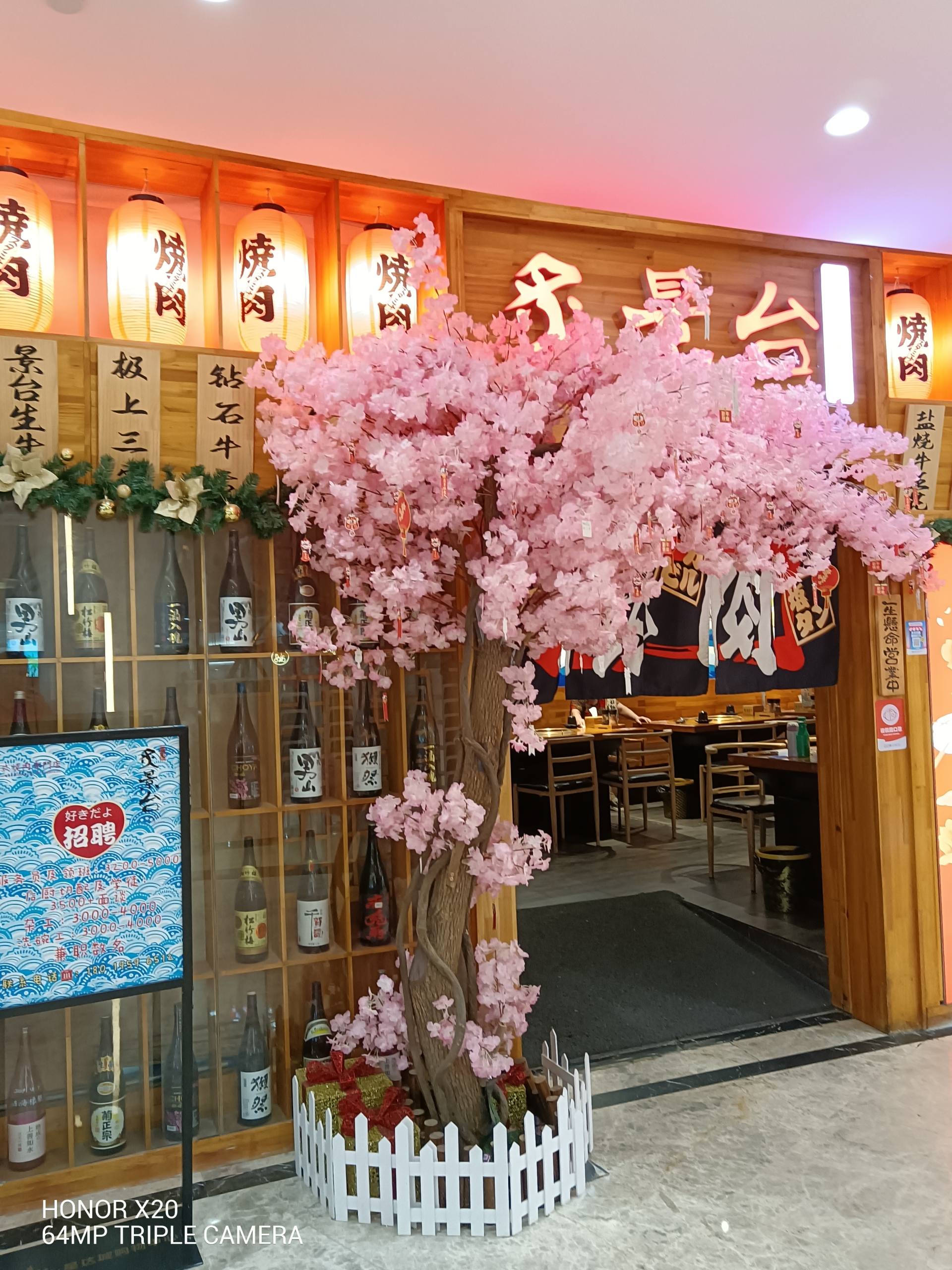 中端新旗舰66W快充+超强全面屏：荣耀X20首发测评