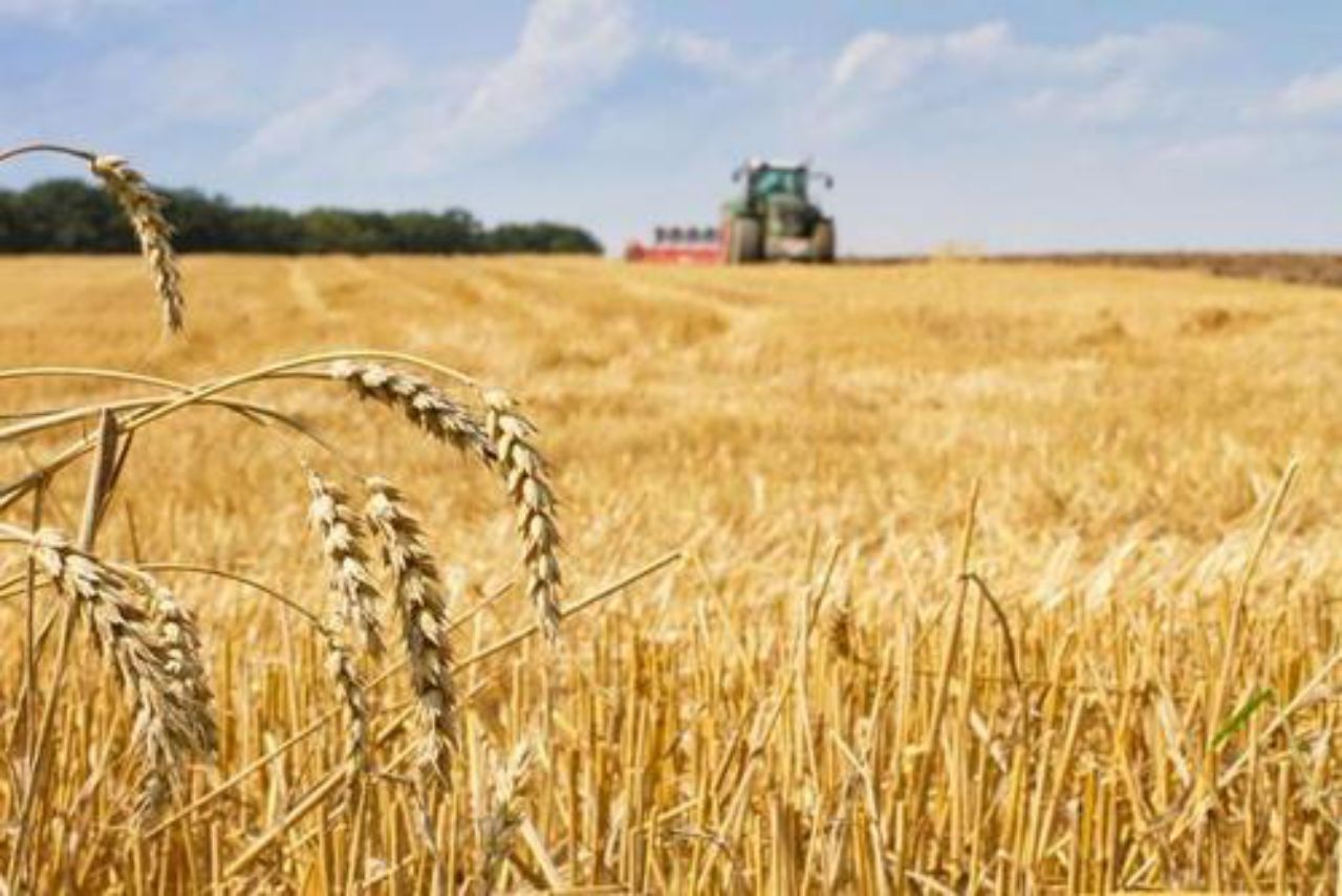 為了�自救�？ 澳企做出新舉動，與中國企業或成為合作夥伴