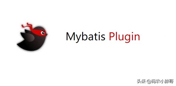 自己动手编写一个Mybatis插件：Mybatis脱敏插件
