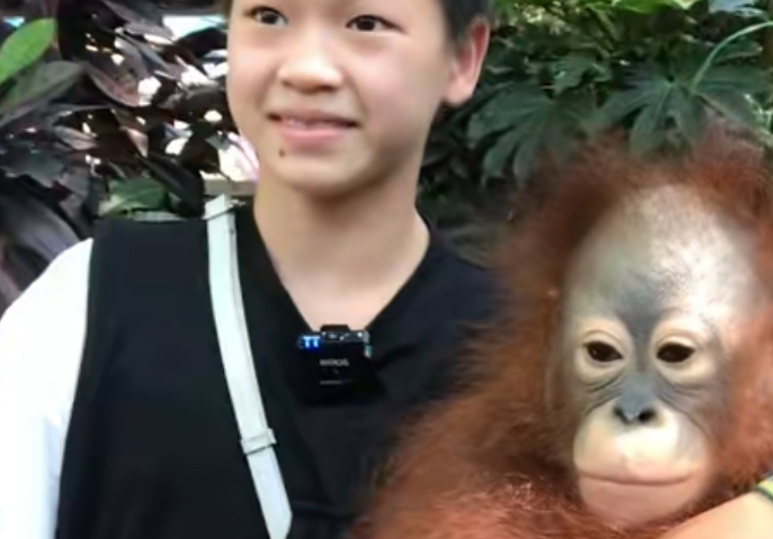 排面！全红婵逛动物园，被人民日报2次报道，央视也点名称赞她