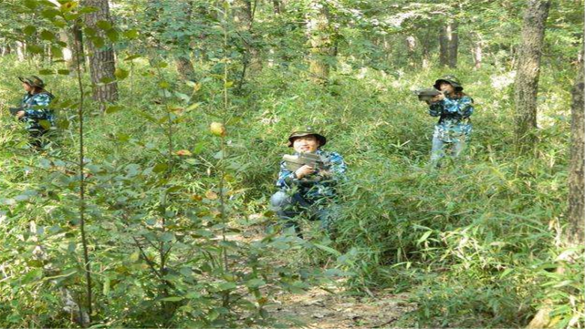 原来我们被误导了，大树不能挡子弹，真正能挡