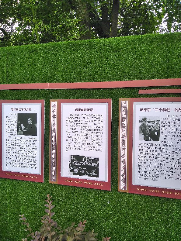 毛市镇石码村：力拓荒原建基地 红色薪火永相传
