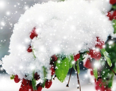 形容雪景美如画的诗句，描写雪景唯美的9首古诗
