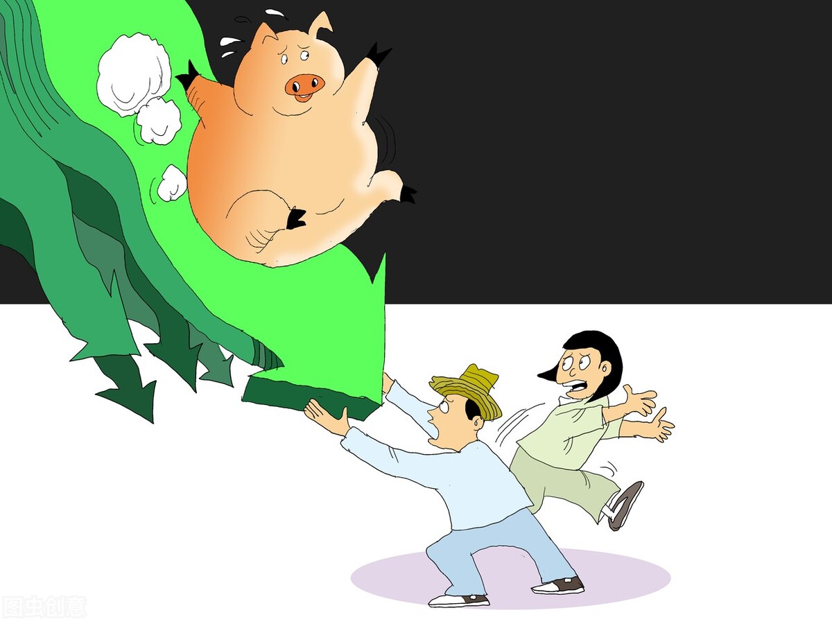 仔猪“凉了”！每头300多元仍无人问津