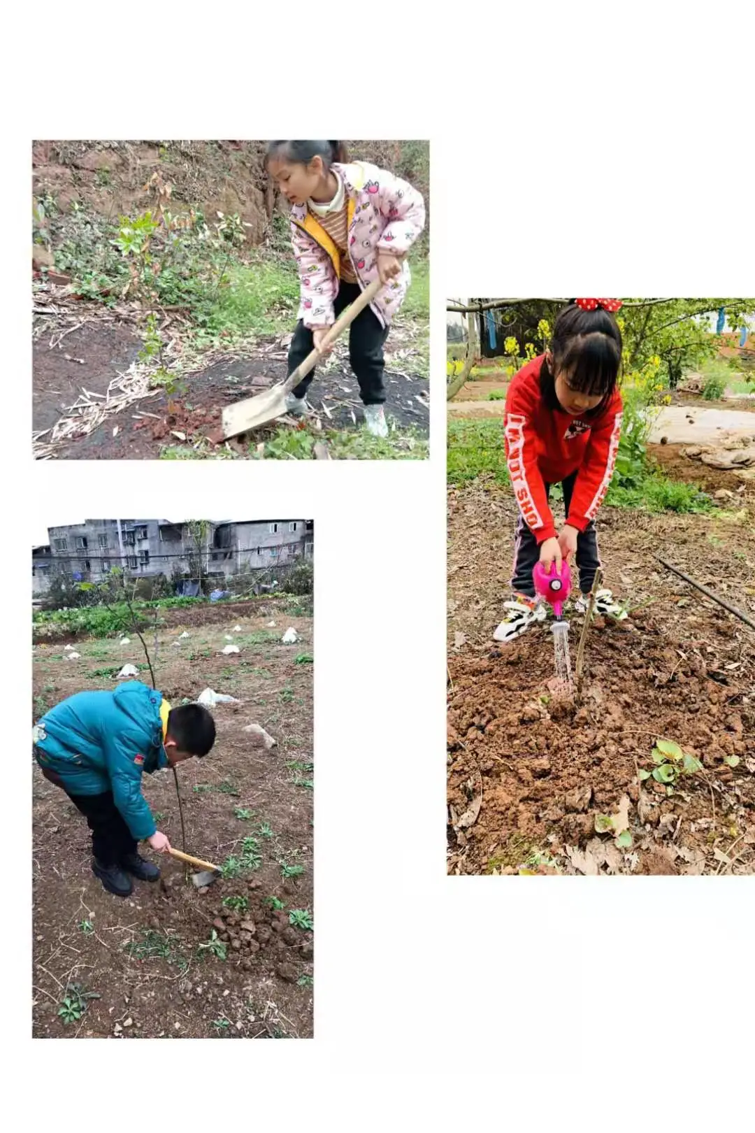 创绿色环保 享美好家园丨天府新区新兴小学植树节环保教育活动