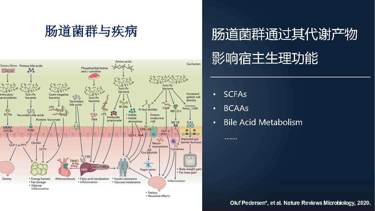 马百平：20分钟详解从有效成分到肠道菌群，中药如何突破？