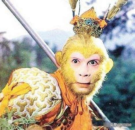 女孩自称孙悟空后代，还拿出证据要求做检测，