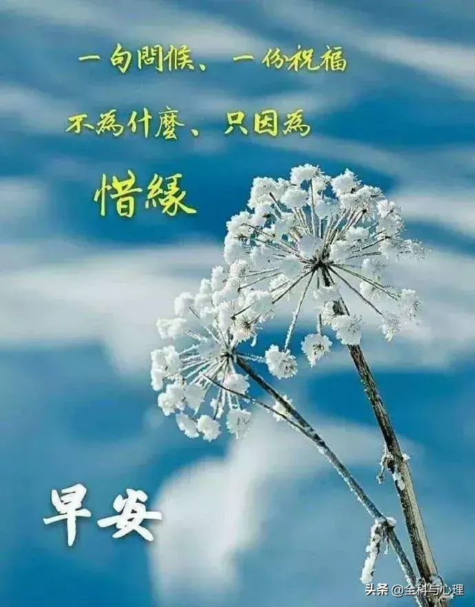 特别精美的清晨早安问候动态表情图片,早上好祝福语温馨句子