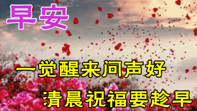清晨问候早安的简短语句，新的一天早安祝福语精美语句图片