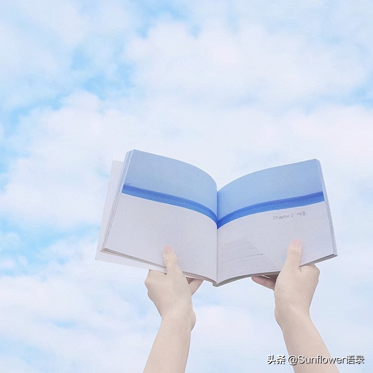 夏天的句子短句唯美 适合夏天的文案短句图片