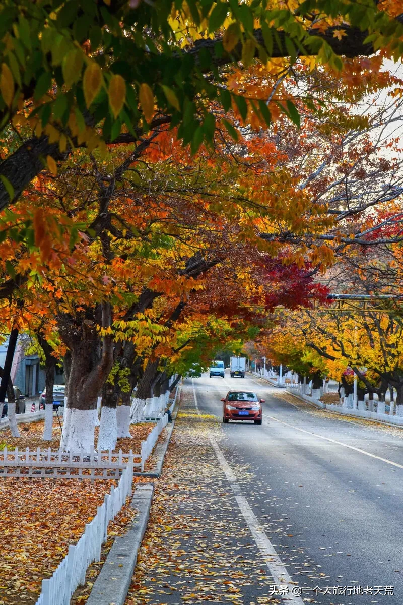 这才是10、11月最值得一去的地方！秋天第一场旅行，你想去哪