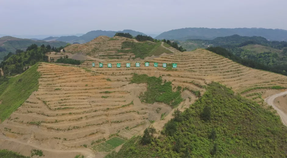 听说过茶油吗？比橄榄油还好，我被长安“安利”后，果断买了两瓶