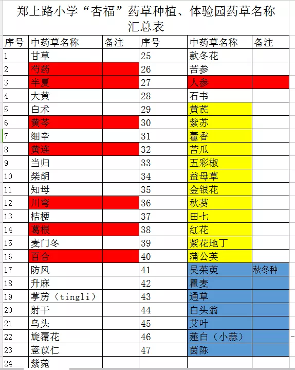 郑州市中原区郑上路小学怎么样?豫见仲景(图2)