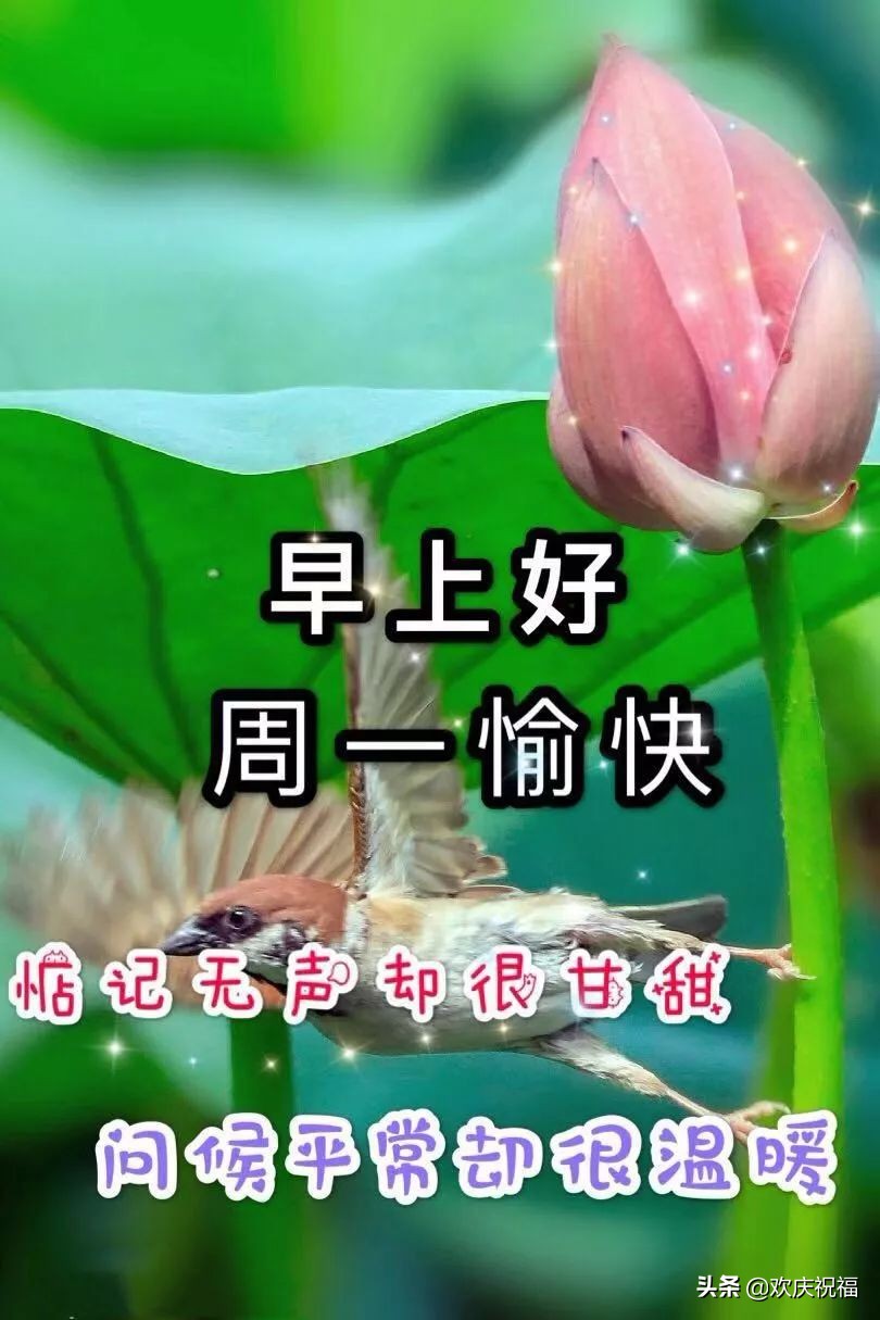 新的一周早上好问候语图片表情大全 早上好祝福表情大图图片