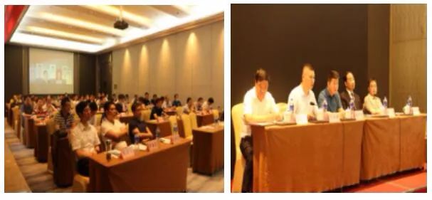 中铁医院张桂红全票当选阜阳医学会显微外科学分会第三届主任委员