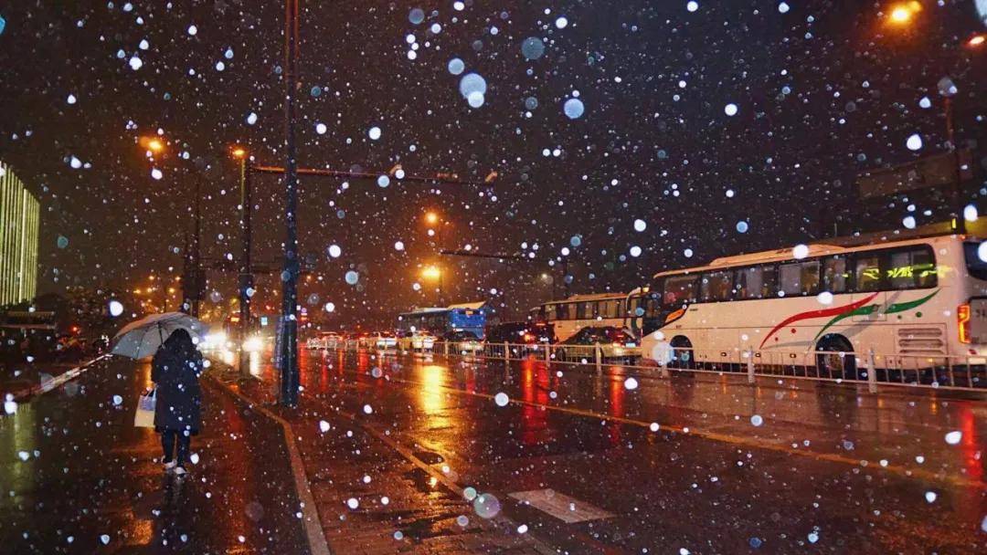 Snow fell, such scene that pat snow that but too beautiful