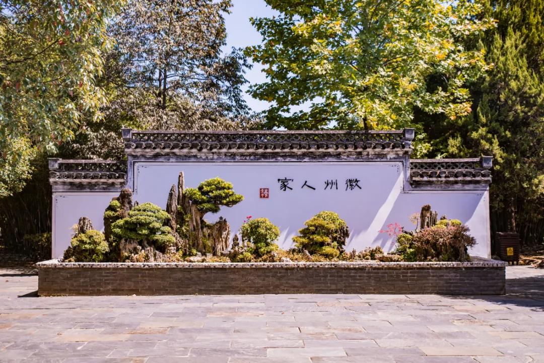 @在歙县的市外建设者们，留歙有惊喜！景区随你逛！