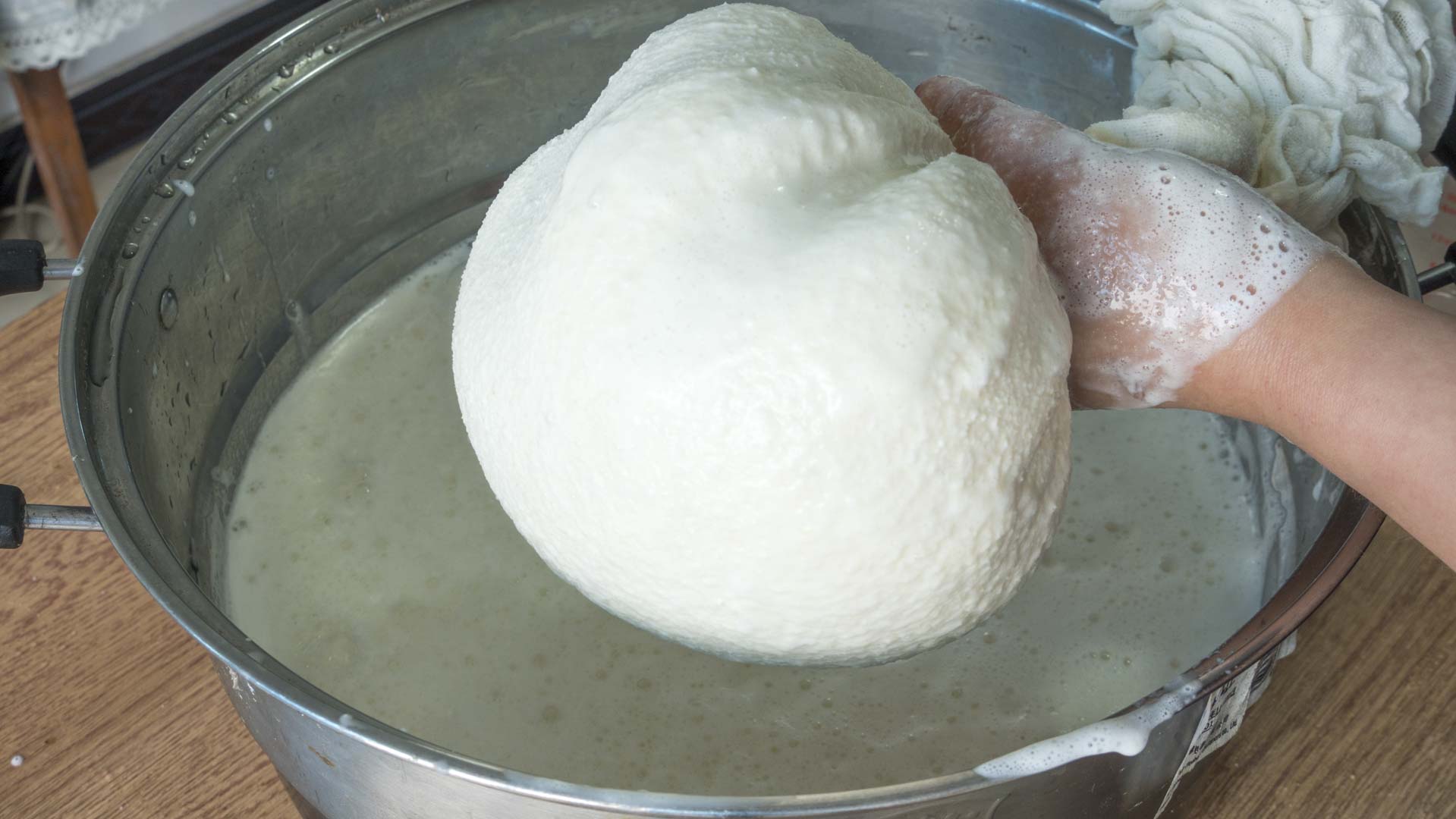 在家做豆腐，2斤黃豆出8斤豆腐，健康零添加，做法簡單又好吃