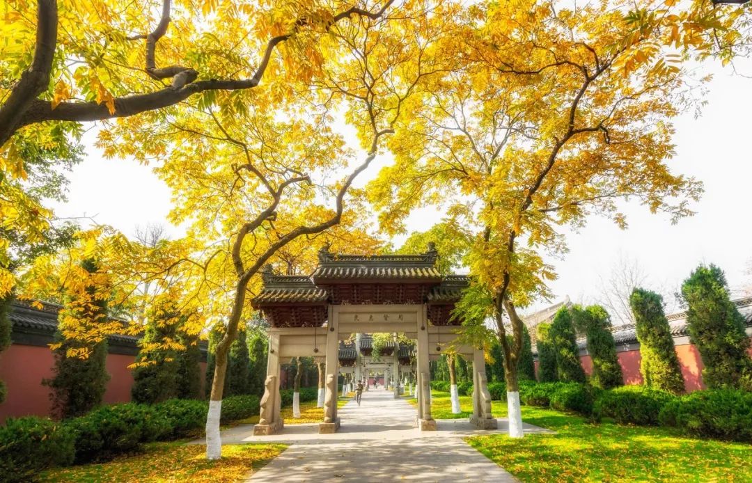 28首最美唐诗，带你领略古诗中的四季之美-第9张图片-非凡网