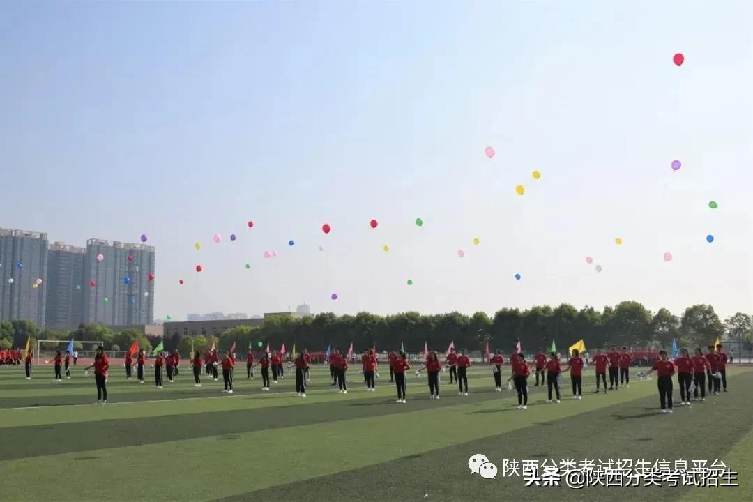 航空领域黄埔 | 陕西航空职业技术学院