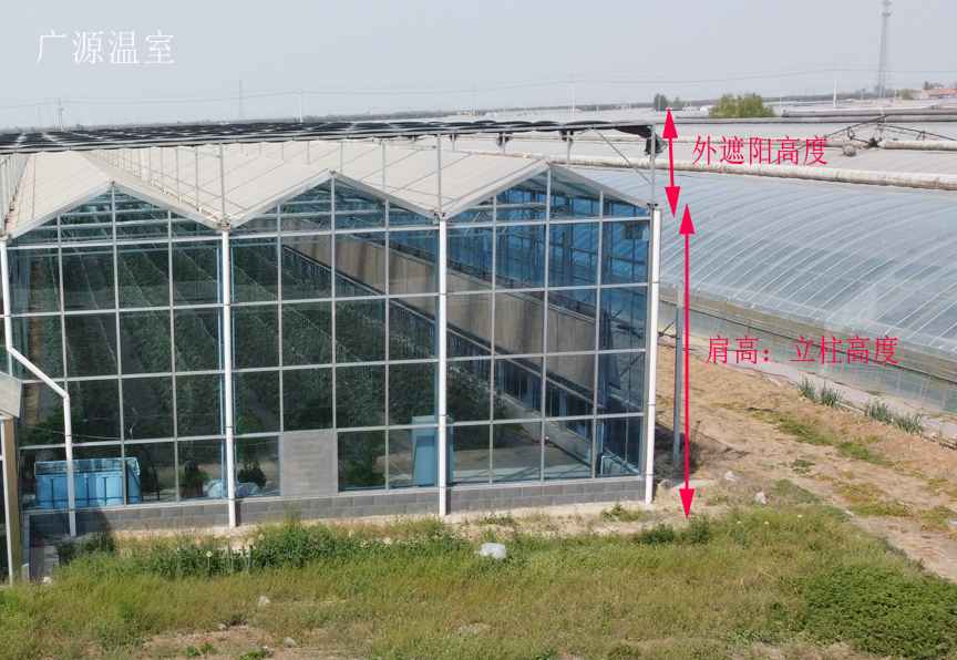 育苗玻璃温室大棚建造案例尺寸分享