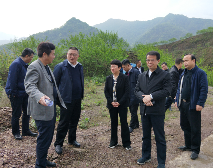 沅陵人大：黄忆钢现场督办人大代表建议办理情况
