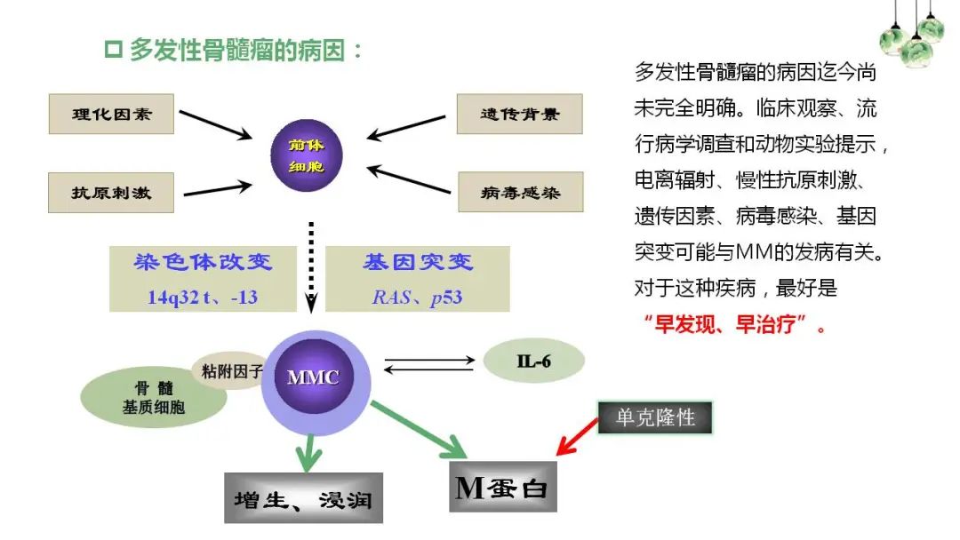 “中老年人腰背痛需警惕多发性骨髓瘤”健康大课堂