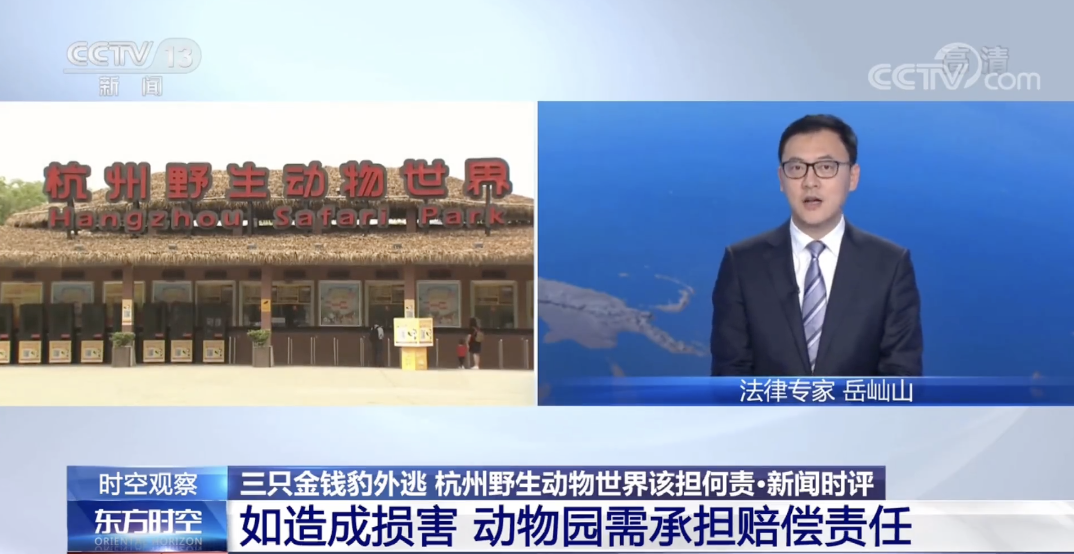 超21天，豹3可能已经很虚弱！瞒“豹”必须有交