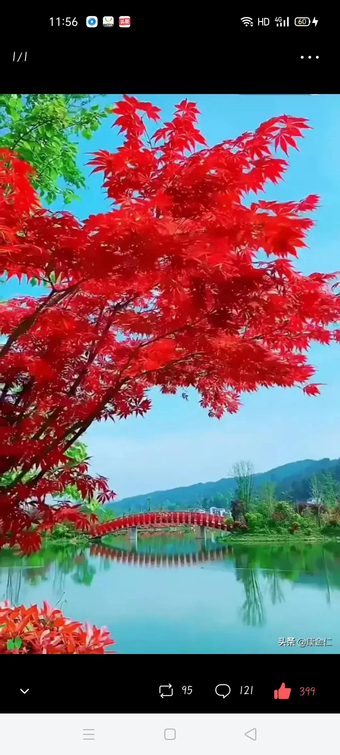 2020，进入自媒体，写得心得