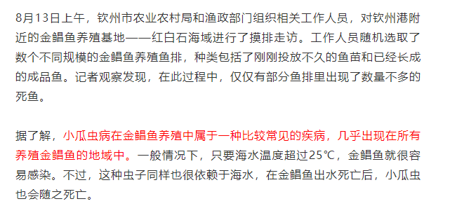 金鲳鱼小瓜虫病爆发！病鱼销往全国各地，专家给出解释