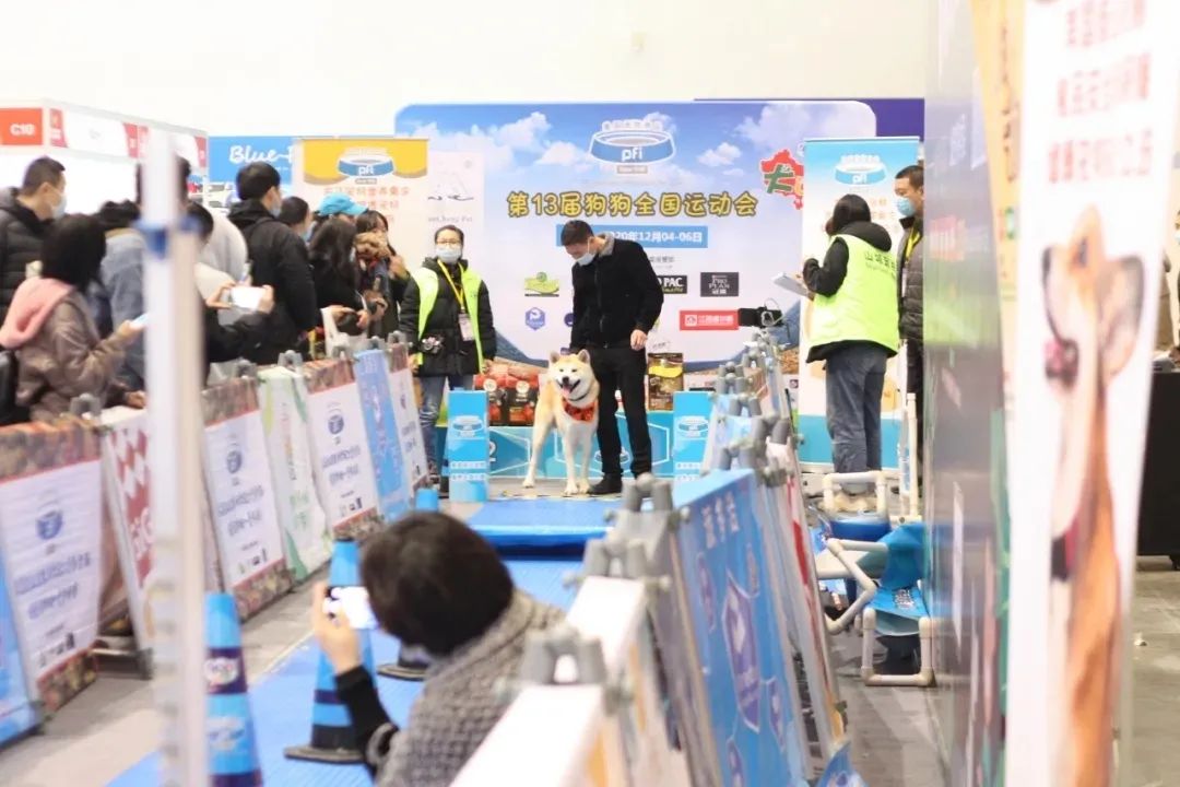 11月西部重庆展大放异彩!规模翻倍增长,开启西部宠物行业新纪元