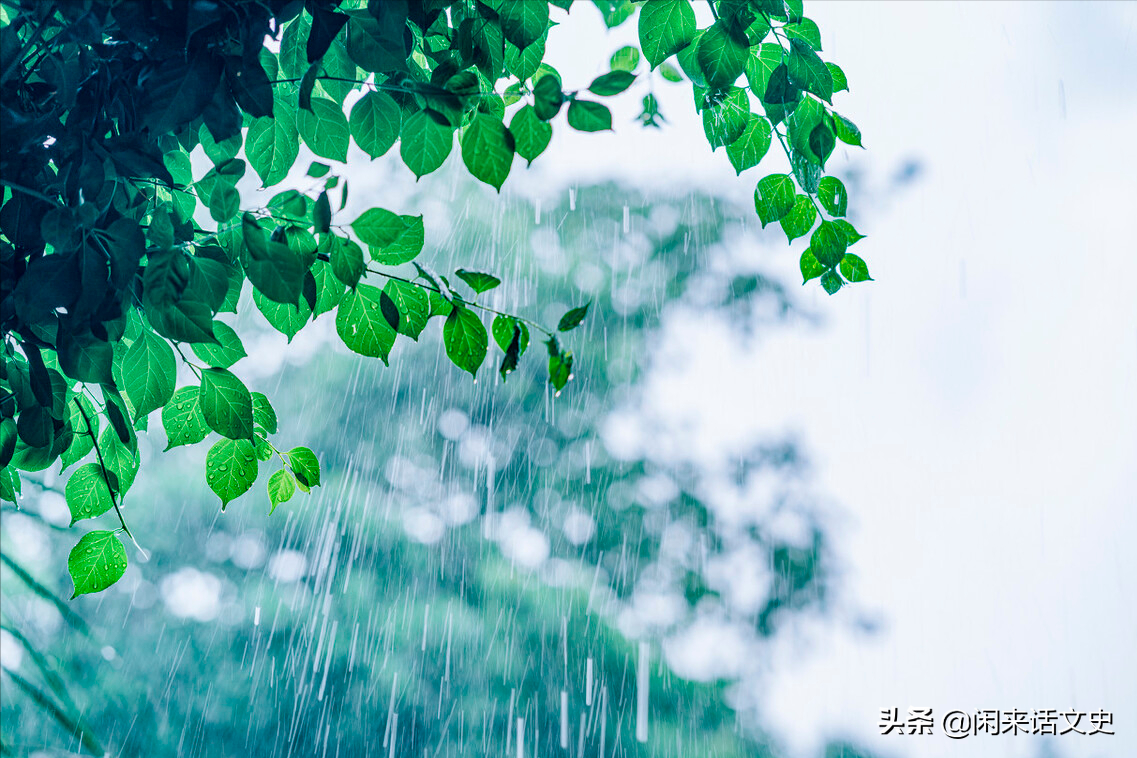 杨万里在小雨中写的一首诗，幽默风趣，把自然之美写得无以伦比