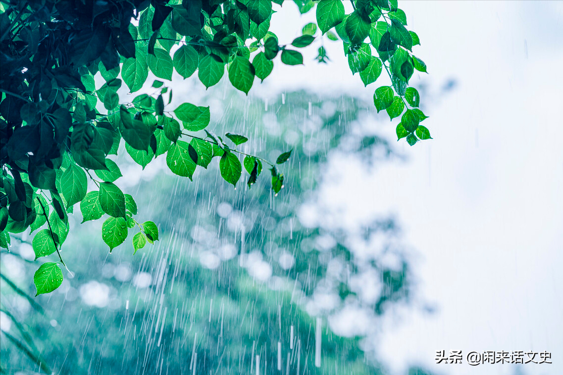 杨万里在小雨中写的一首诗，幽默风趣，把自然之美写得无以伦比-第1张图片-非凡网
