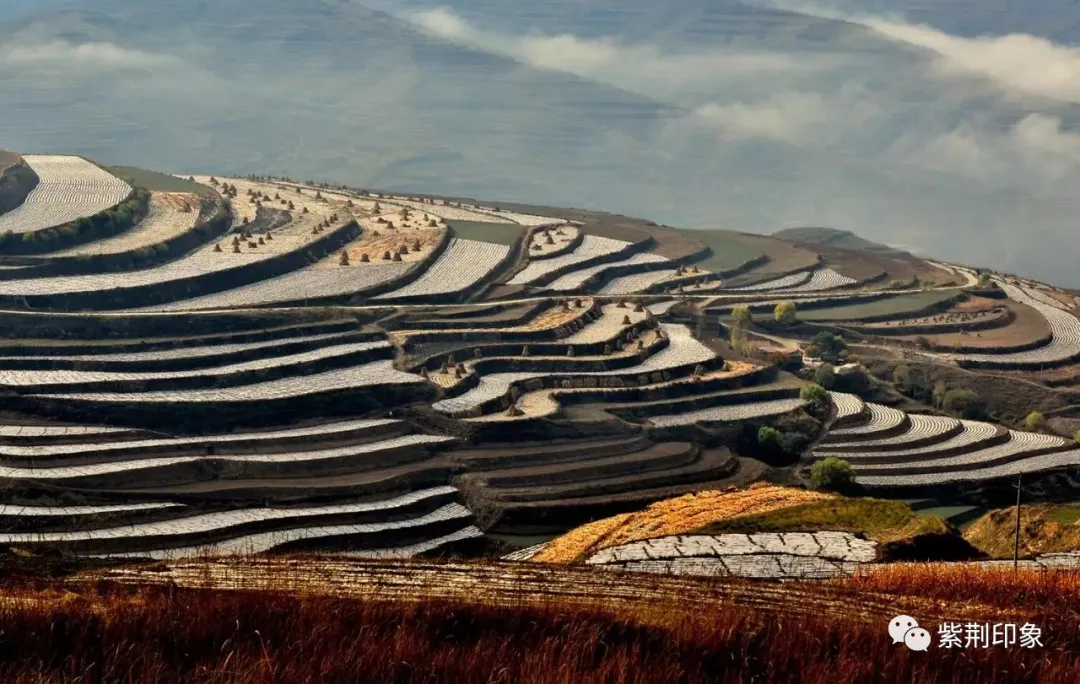 【庄浪县】初秋时节来庄浪，看百万亩梯田绝美风光！