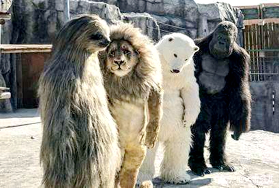 动物世界的幽默，15个动物笑话小故事，让人发笑又令人沉思-第5张图片-大千世界