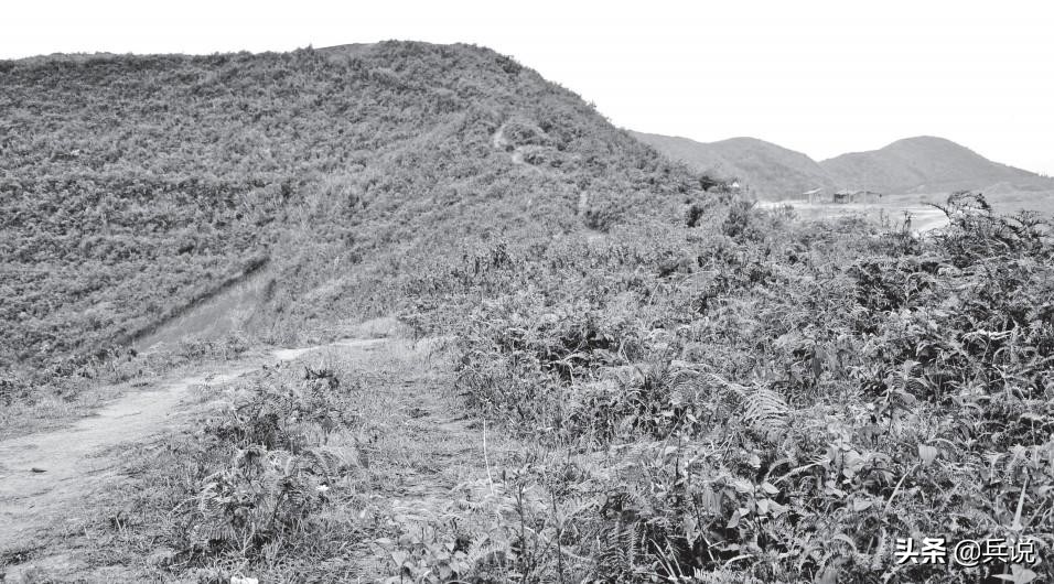 为啥叫猫耳洞，不叫狗耳洞？我想，这是猫耳一