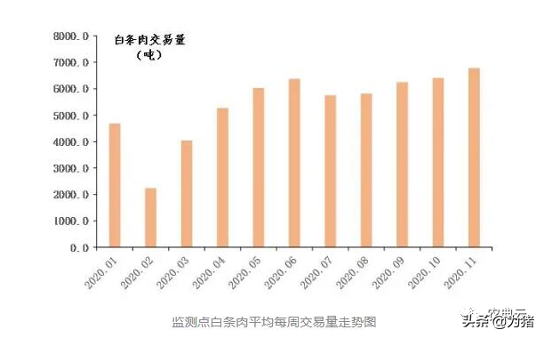 最新！自繁自养头均盈利1538元，仔猪价格每头降至1106元