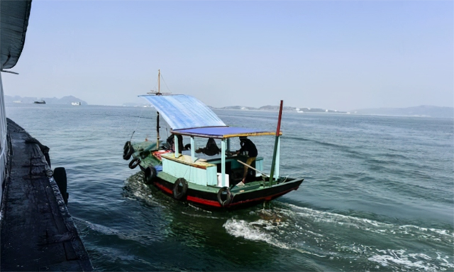 ��ʵ�ĺ�ӥ׹���¼�������19�˸ɵ��з�3ǧ�ˣ�Ϊ���Գ�ʧ��