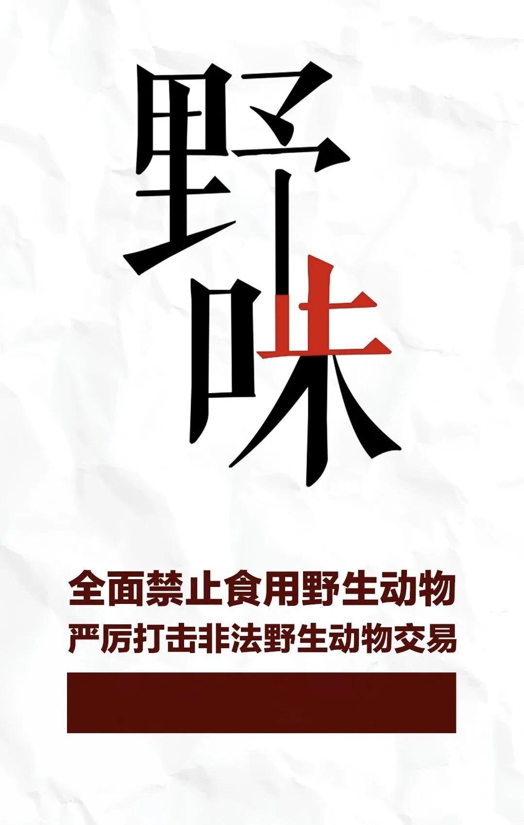 我们不是“药神”！有多少野生动物毁于“被入药”？