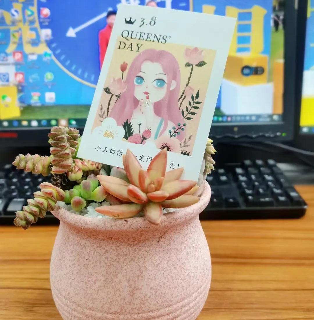 四川天府新区华阳小学老师的浪漫女神节