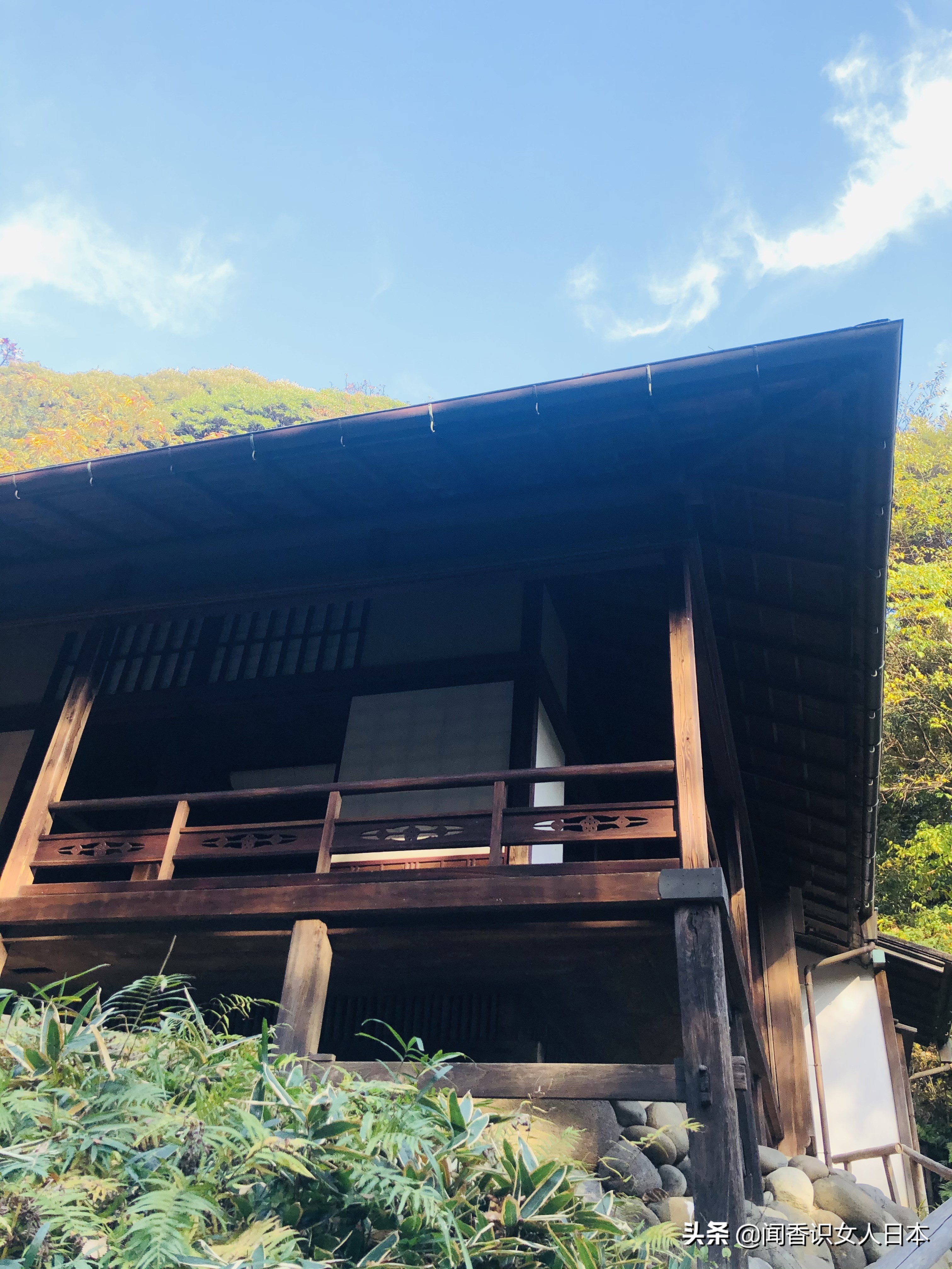 橫濱三溪園一代實業家打造的日式庭園 17座建築來自京都和鎌倉 中國熱點