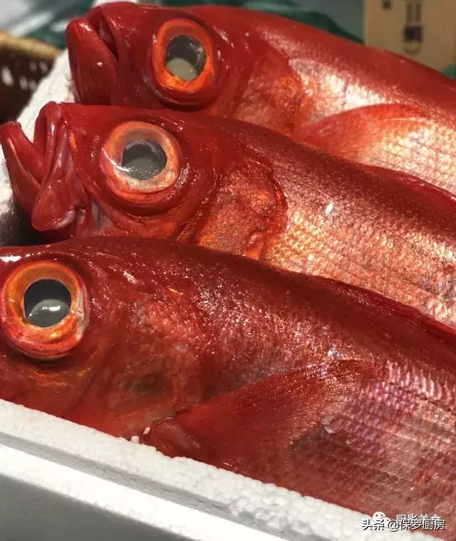 史上最全的顶级“海鱼”海鲜大全,全吃过的你人生就到达了巅峰!