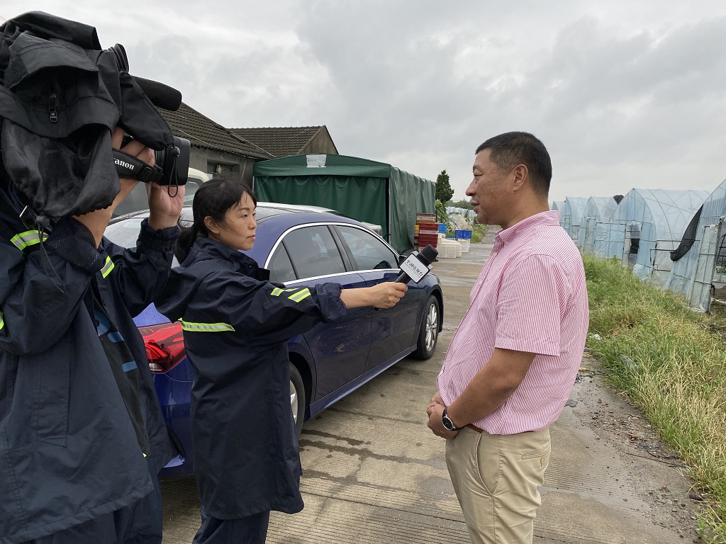 平湖人保财险：大灾快速理赔获当地媒体采访