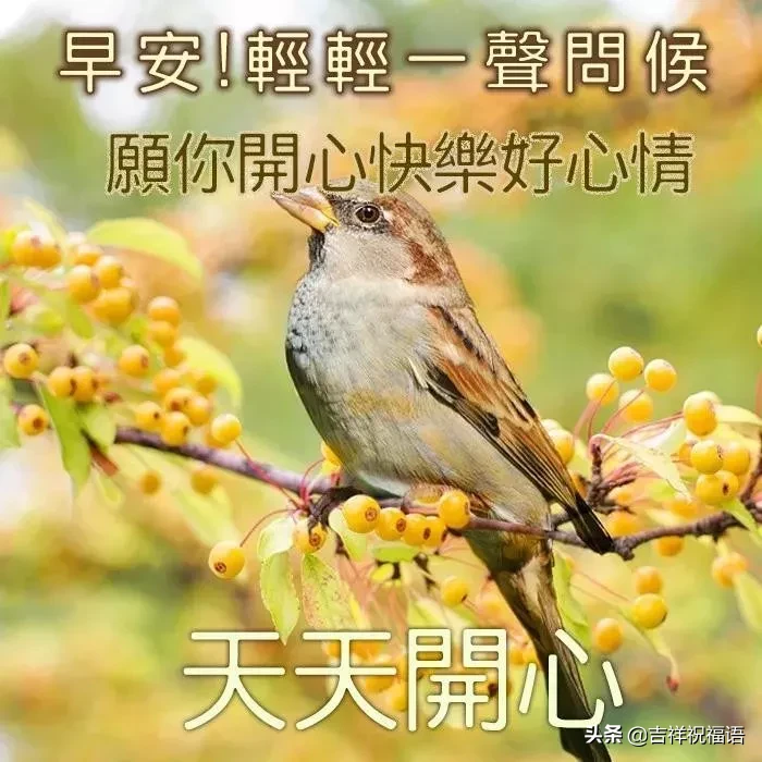 早上好问候语图片 早安祝福语漂亮图片图片