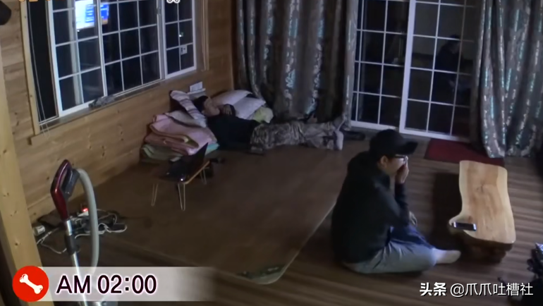 猫咪每日奔袭8公里，只为谈恋爱，谁说异地恋就没有好结局？